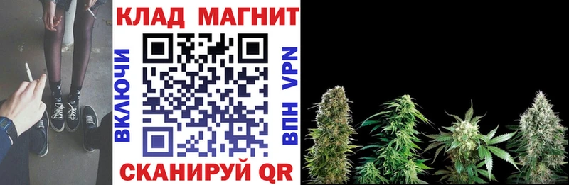 Где купить Дальнегорск Альфа ПВП  NBOMe  ГАШ  Мефедрон  МАРИХУАНА  Кокаин 