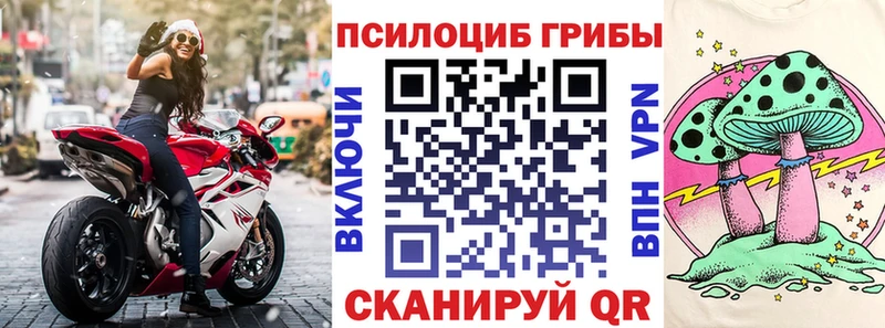 Псилоцибиновые грибы GOLDEN TEACHER  что такое наркотик  OMG как войти  Дальнегорск 